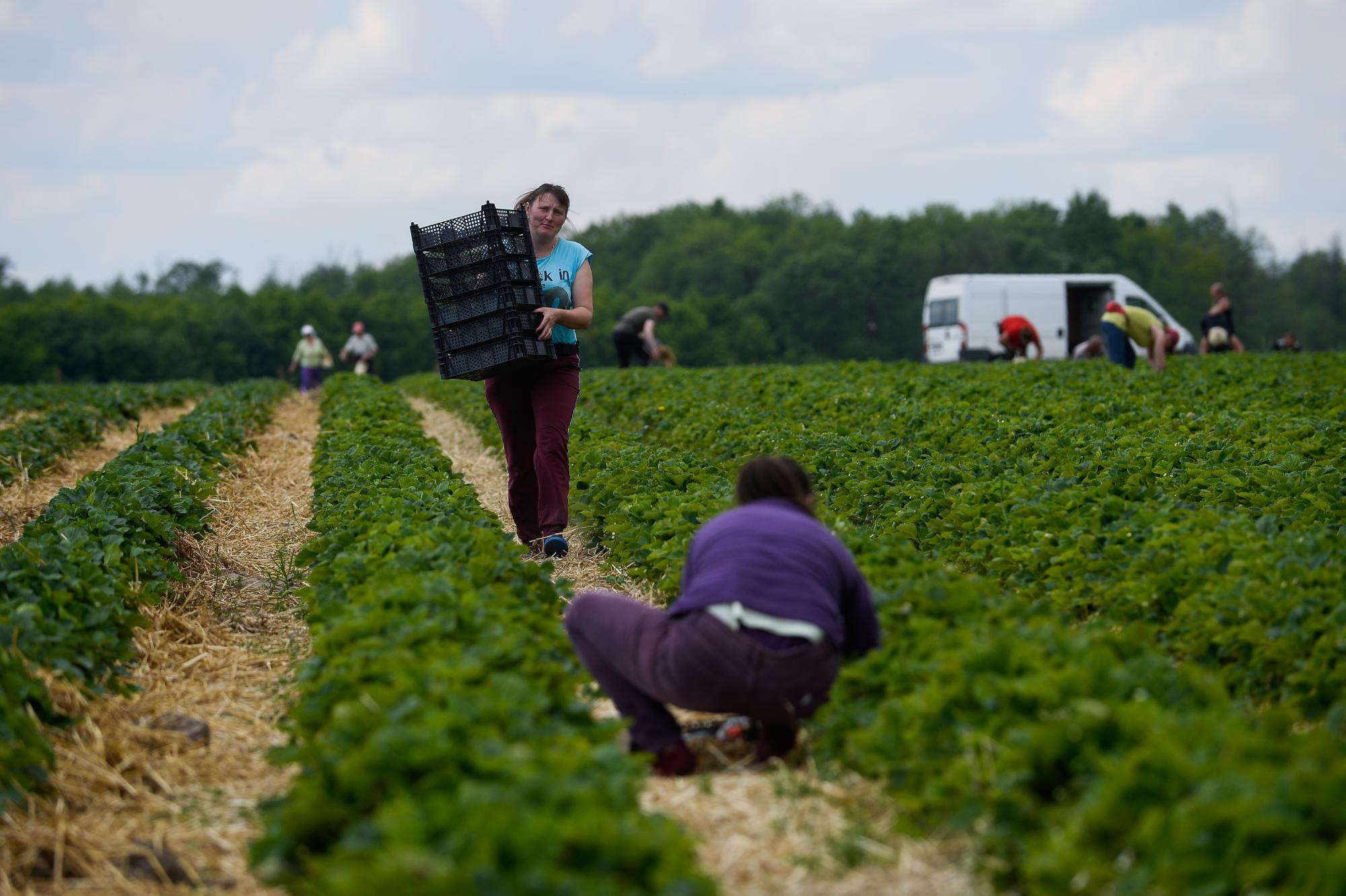На 700 злотых больше. Какой будет минимальная зарплата в Польше в 2023 году